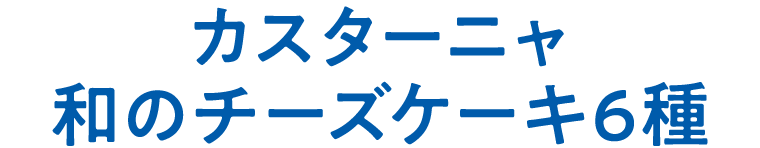 カスターニャ　和のチーズケーキ6種